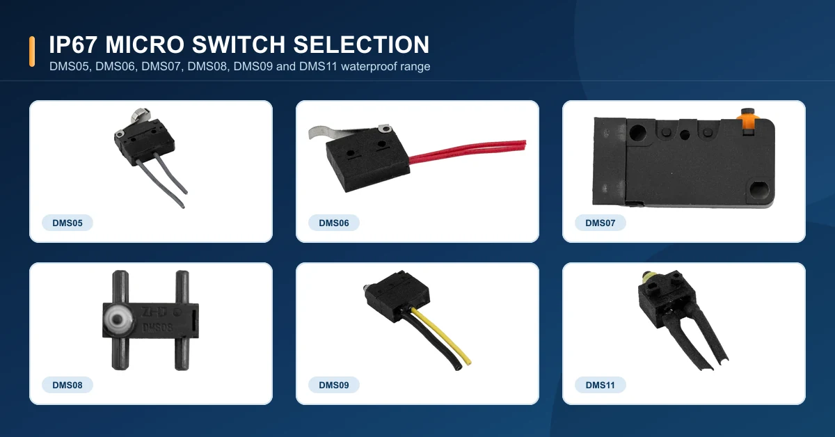 IP67 Micro Switch Selection Guide: DMS05–DMS11